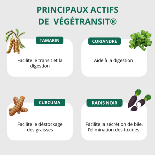 VEGETRANSIT® - Complément alimentaire transit digestion naturel tamarin coriandre curcuma radis noir rhubarbe levure revivifiable