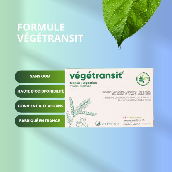 VEGETRANSIT® - Complément alimentaire transit digestion repas trop lourds gras mal au ventre mauvaise digestion