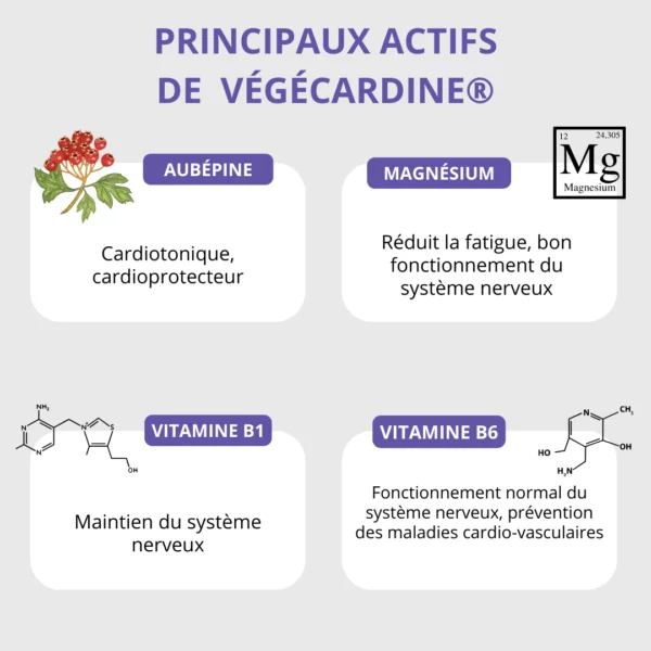 VEGECARDINE® - Complément alimentaire pour l'équilibre émotionnel et la santé cardiaque ingrédients naturels glycérophosphate de magnésium régule stress aubépine amélioration rythme cardiaque vitamines B1 B6 augmente absorption