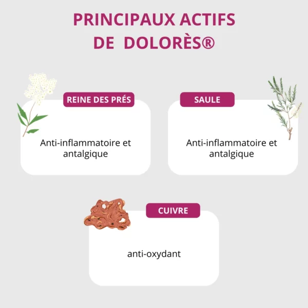 DOLORES® Gélules - douleurs articulations muscles ingrédients naturels reine des prés saule cuivre