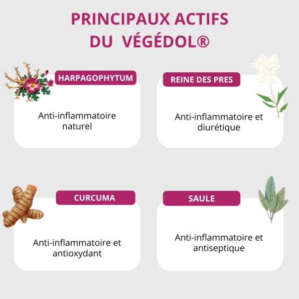 VEGEDOL®  - Complément alimentaire naturel articulations et muscles harpagophytum curcuma curcumine saule reine des prés cuivre poivre noir